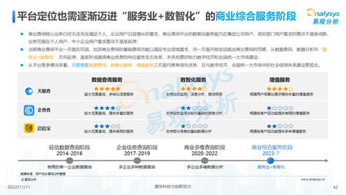 透視用戶需求深挖服務(wù)潛力 2022中國(guó)商業(yè)查詢行業(yè)洞察 商務(wù)信息咨詢